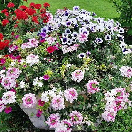 Casa de Férias Hacienda Neretva