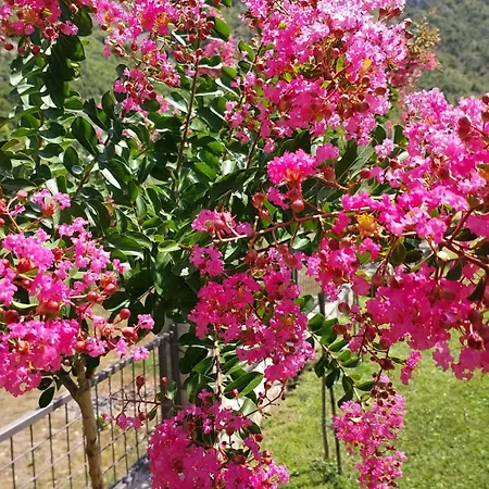 Casa de Férias Hacienda Neretva